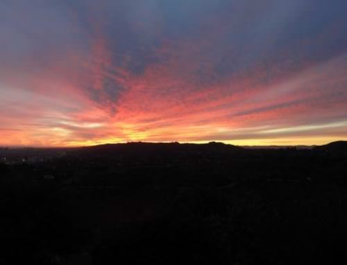 グリフィス天文台　行き方　バス　夜景