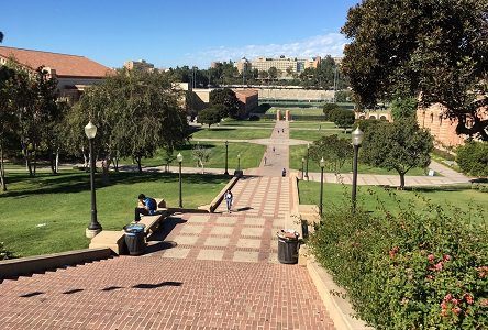 アメリカ ロサンゼルス カルフォルニア大学ロサンゼルス校（UCLA）キャンパスを観光！