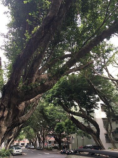 小上海 台北　サニーヒルズ　民生公園